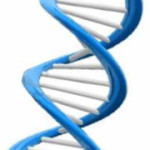 img_dna